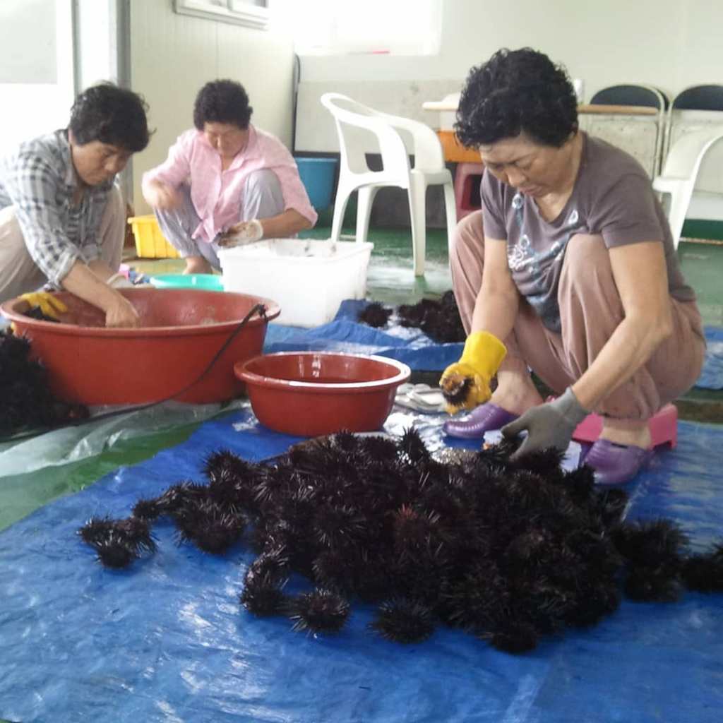 65770202_448648605692676_7970185010349080576_o