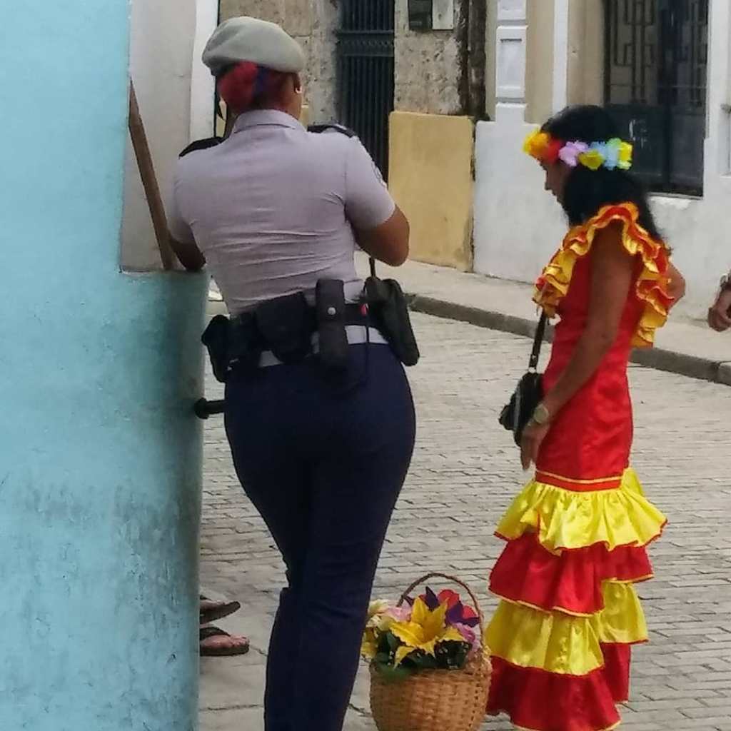 65942976_452299818660888_5623740631609245696_o