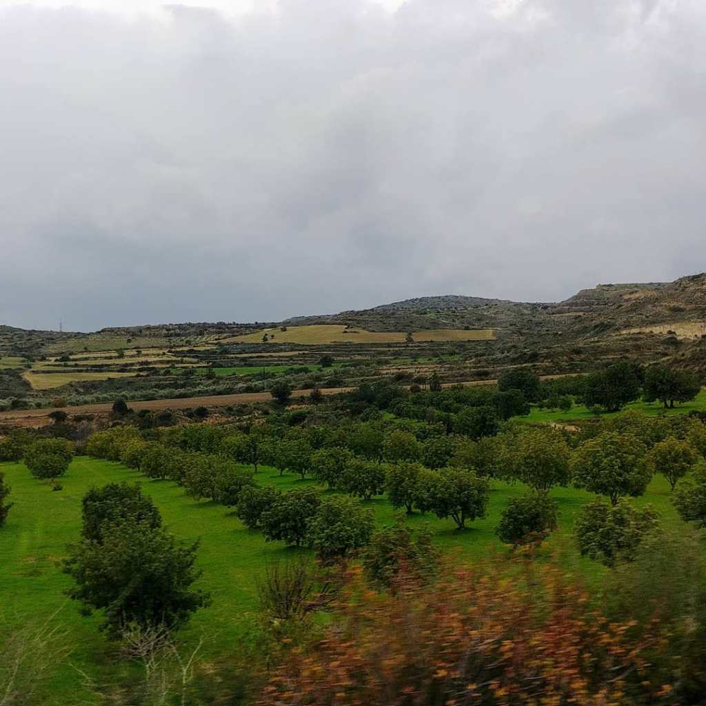 66008537_452743691949834_7995223952425222144_o