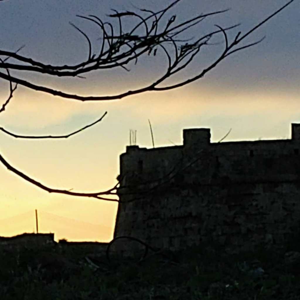 66029377_452409351983268_3978827986135678976_o