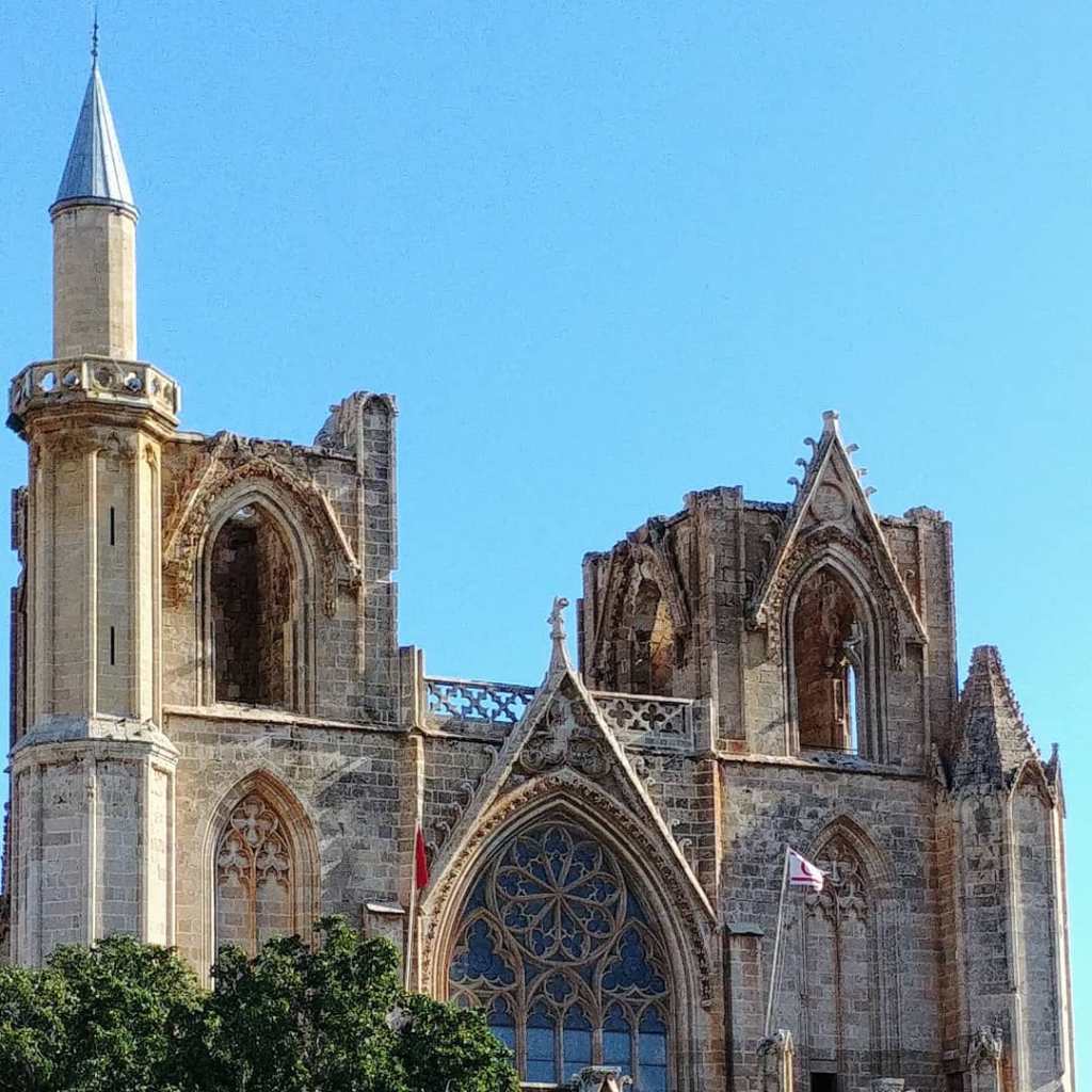 66124685_452410651983138_5281099578232274944_o