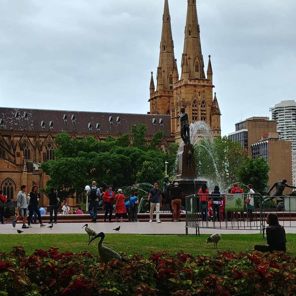 66267093_453694945188042_8033477134481620992_o