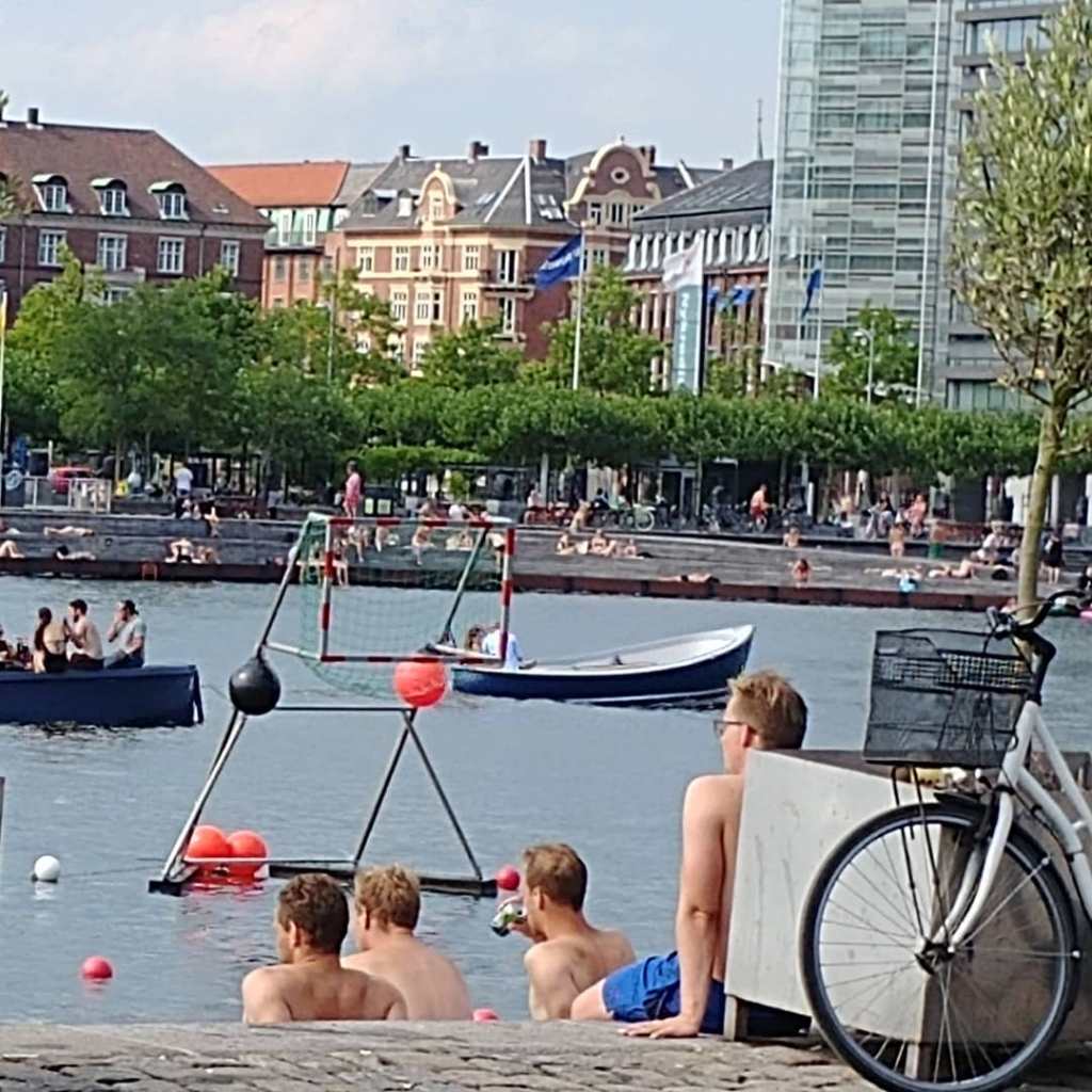 66289971_452805011943702_3281495150336933888_o