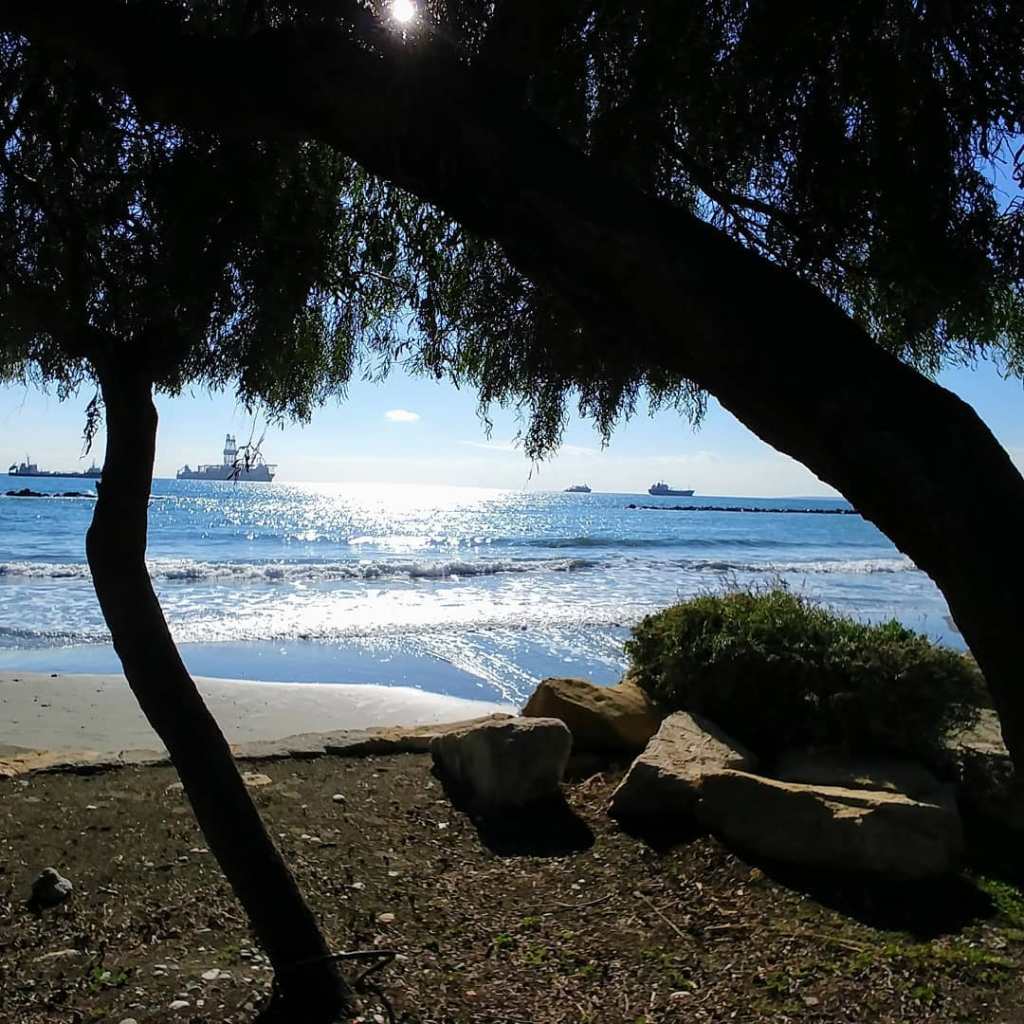 66338116_452740961950107_5068359299621715968_o