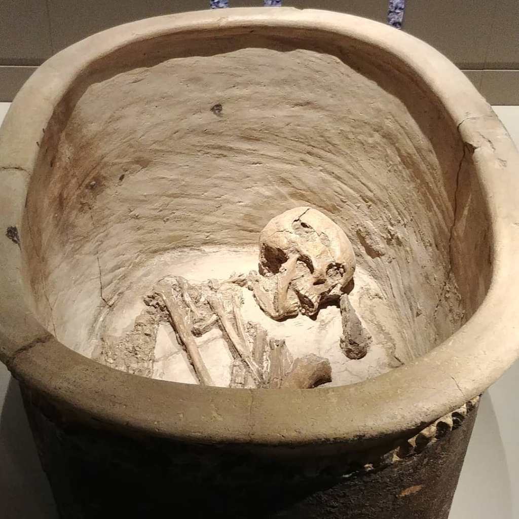 66480211_453521961872007_5188423504063627264_o