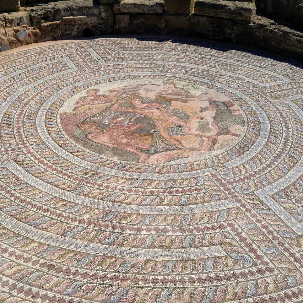 66501847_452745401949663_2797440550687473664_o