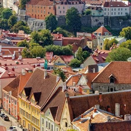 66627567_456360281588175_8732327206132383744_n