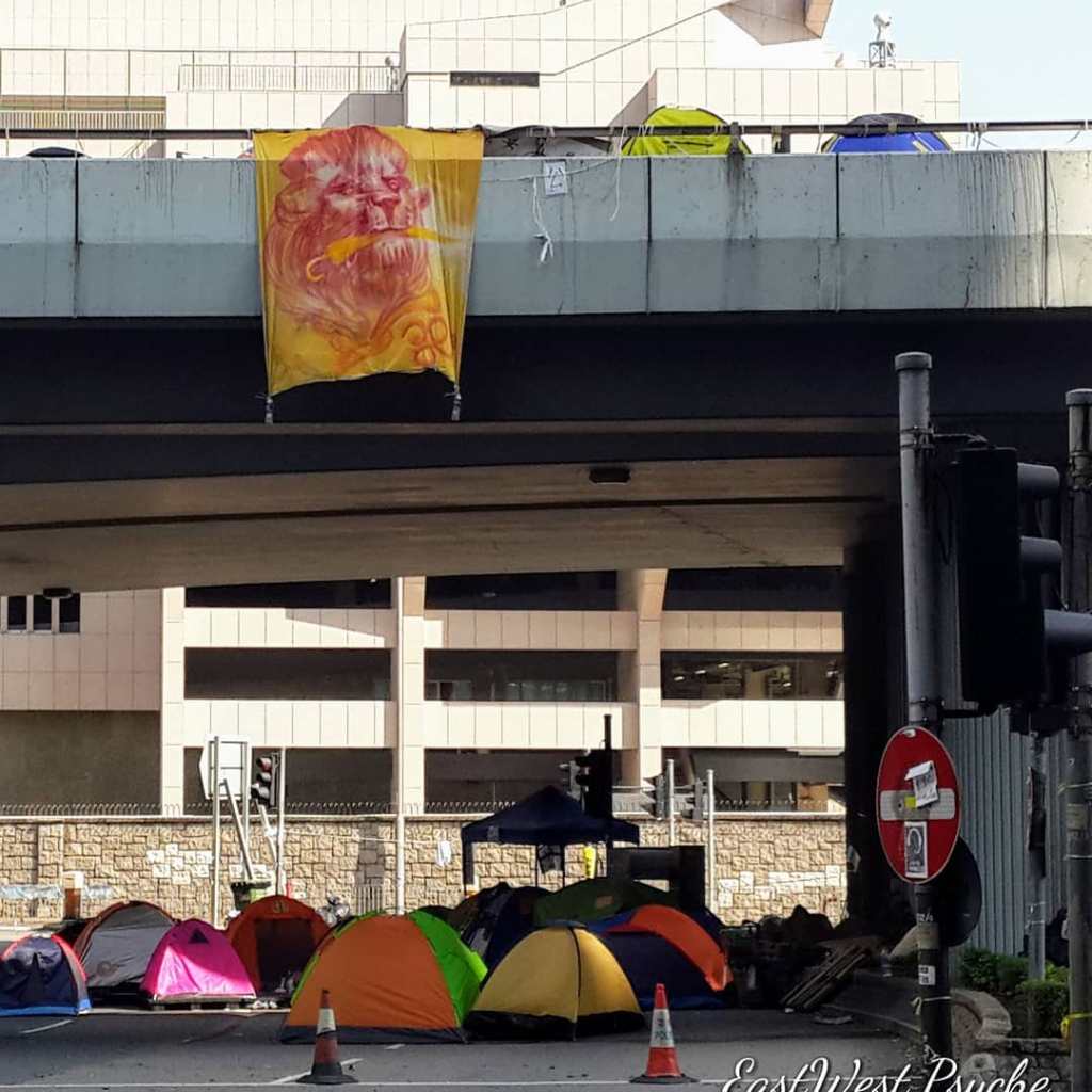 66849894_458238238067046_3814254344115585024_o