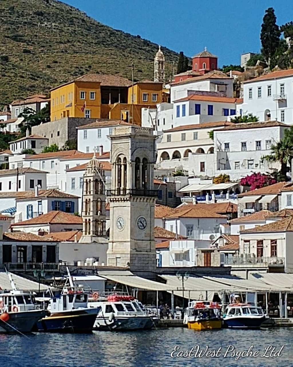 67033389_456798901544313_8115484943678701568_o