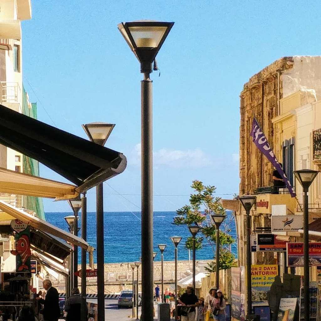 67063687_456427768248093_1441197759599214592_o