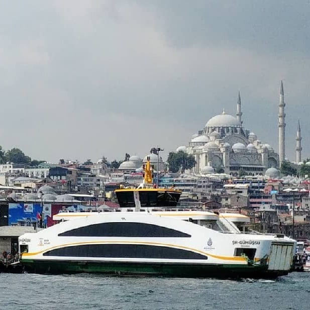 67096443_460293877861482_6923494848884375552_n