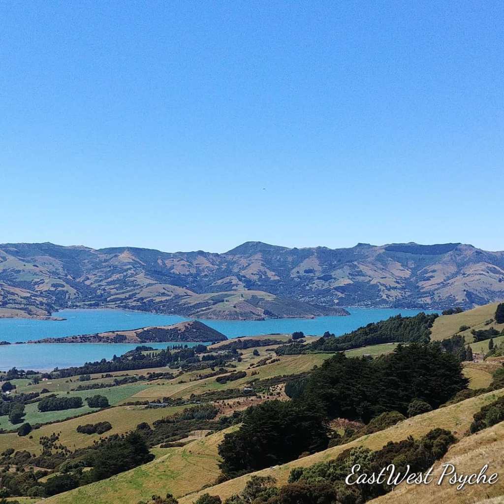 67240921_457306684826868_116700605099016192_o