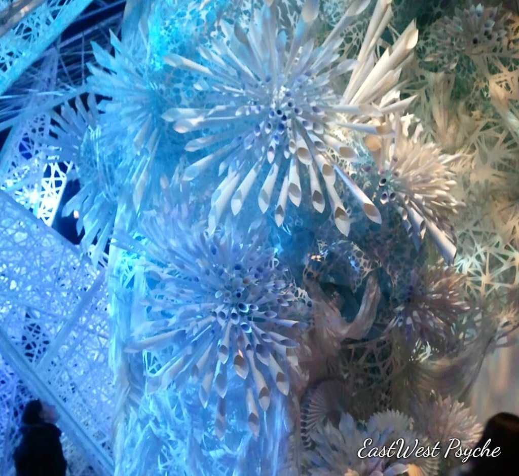 67270464_458237801400423_33611894367453184_o