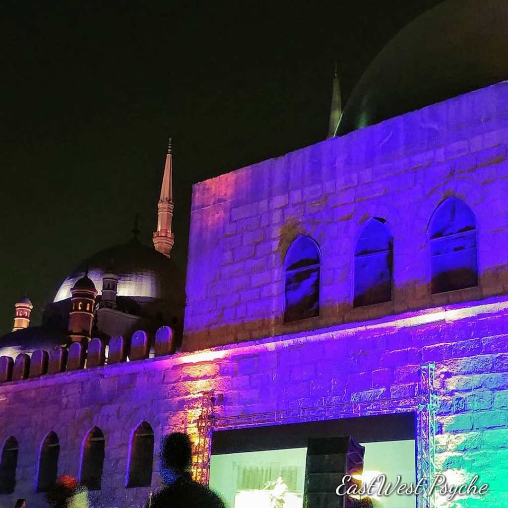 67278884_457988931425310_4737157706954047488_o