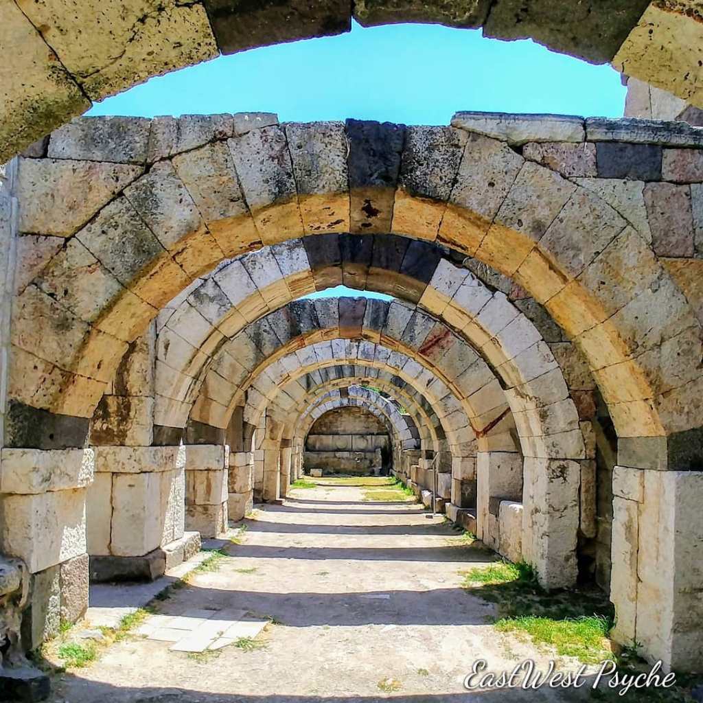 67293109_460295841194619_1166986654917853184_o