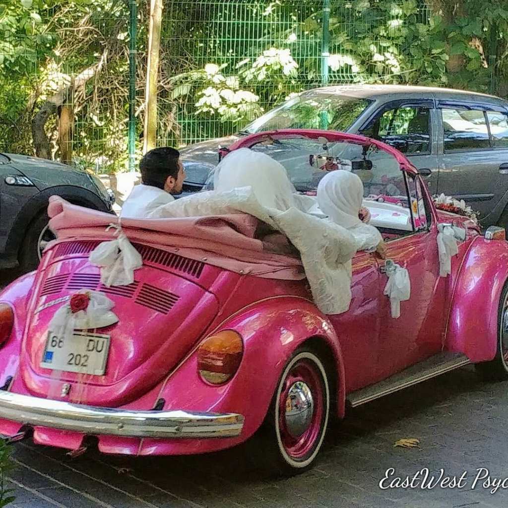 67457741_460297071194496_8290987078443859968_o