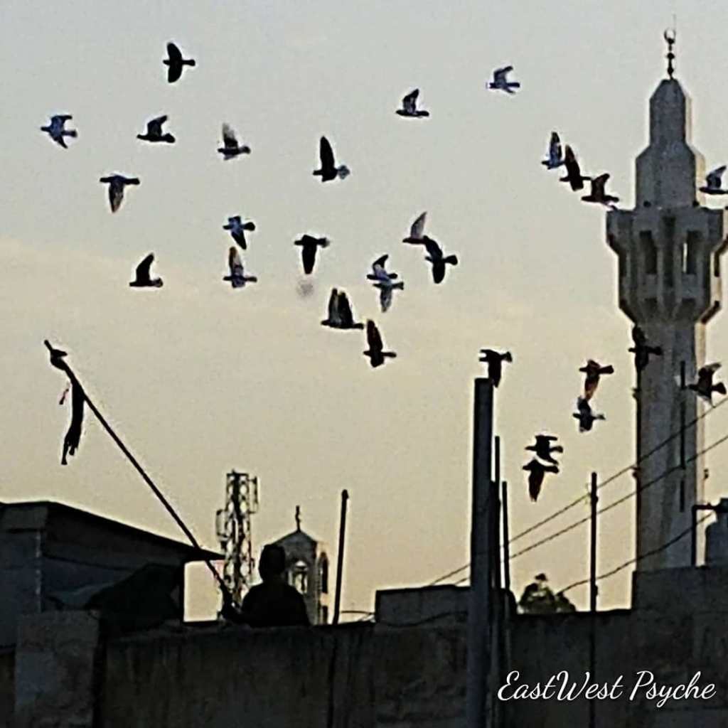 67812635_470964286794441_4941773397794226176_o