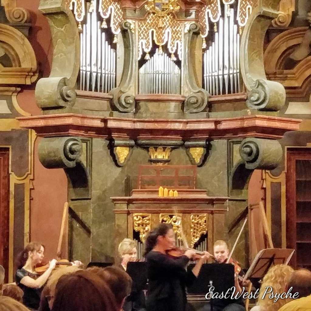 67820065_470906763466860_2473345870469267456_o