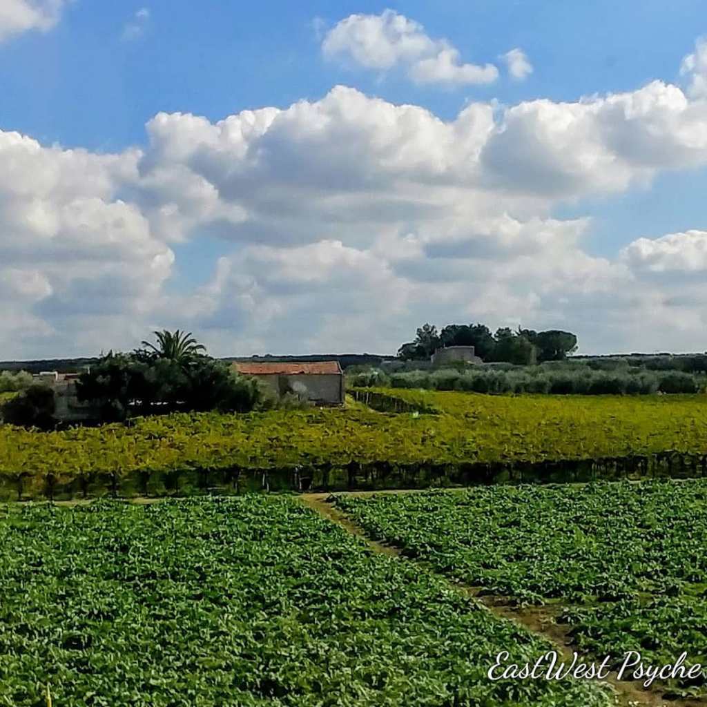 67828204_470640913493445_8619852531025051648_o