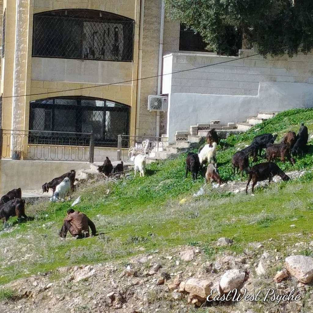 67875644_470967906794079_5745768628242874368_o