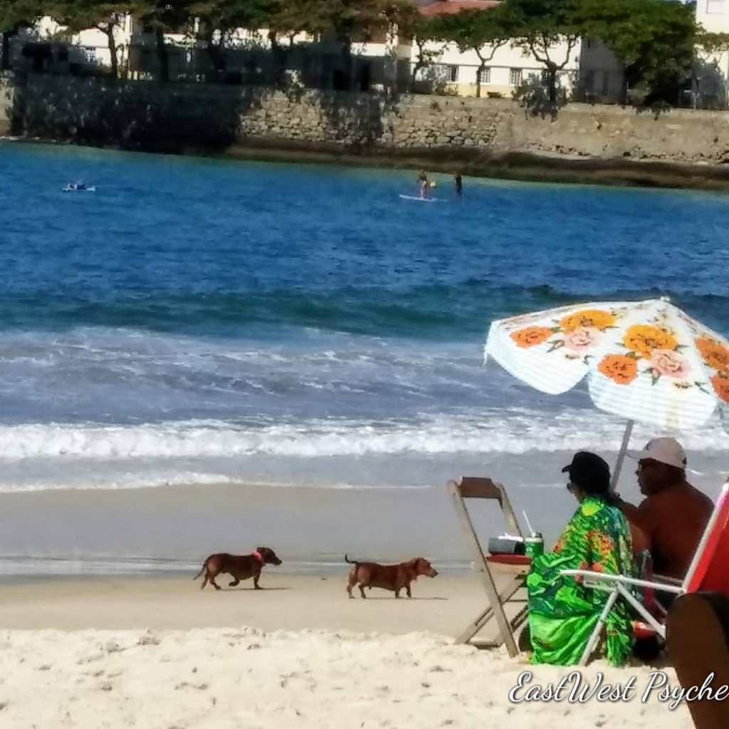 67961766_471483126742557_8704471027503071232_o