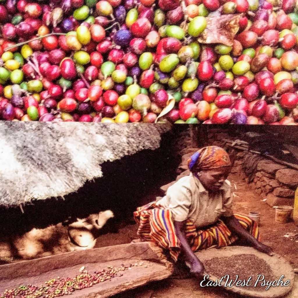 67969370_471916556699214_8048655853848363008_o