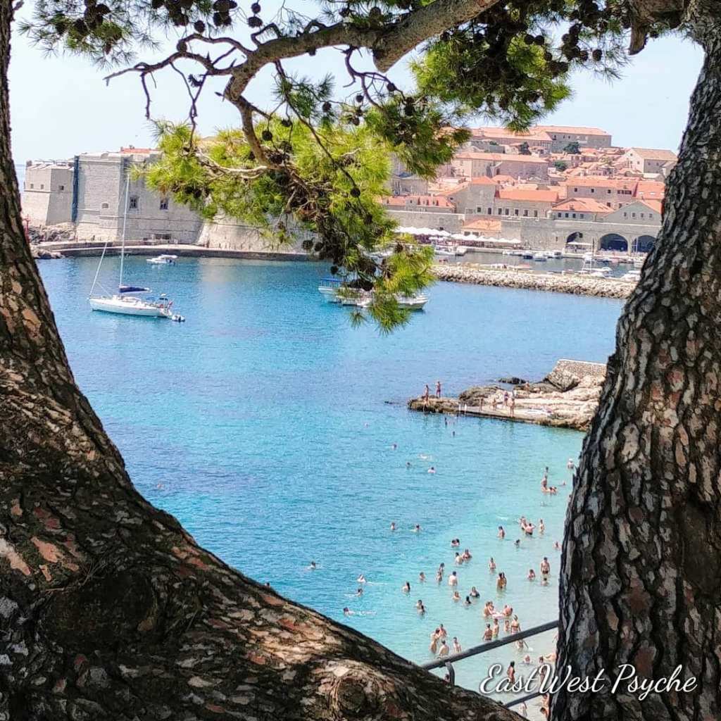 68247338_472165986674271_6810598841780273152_o