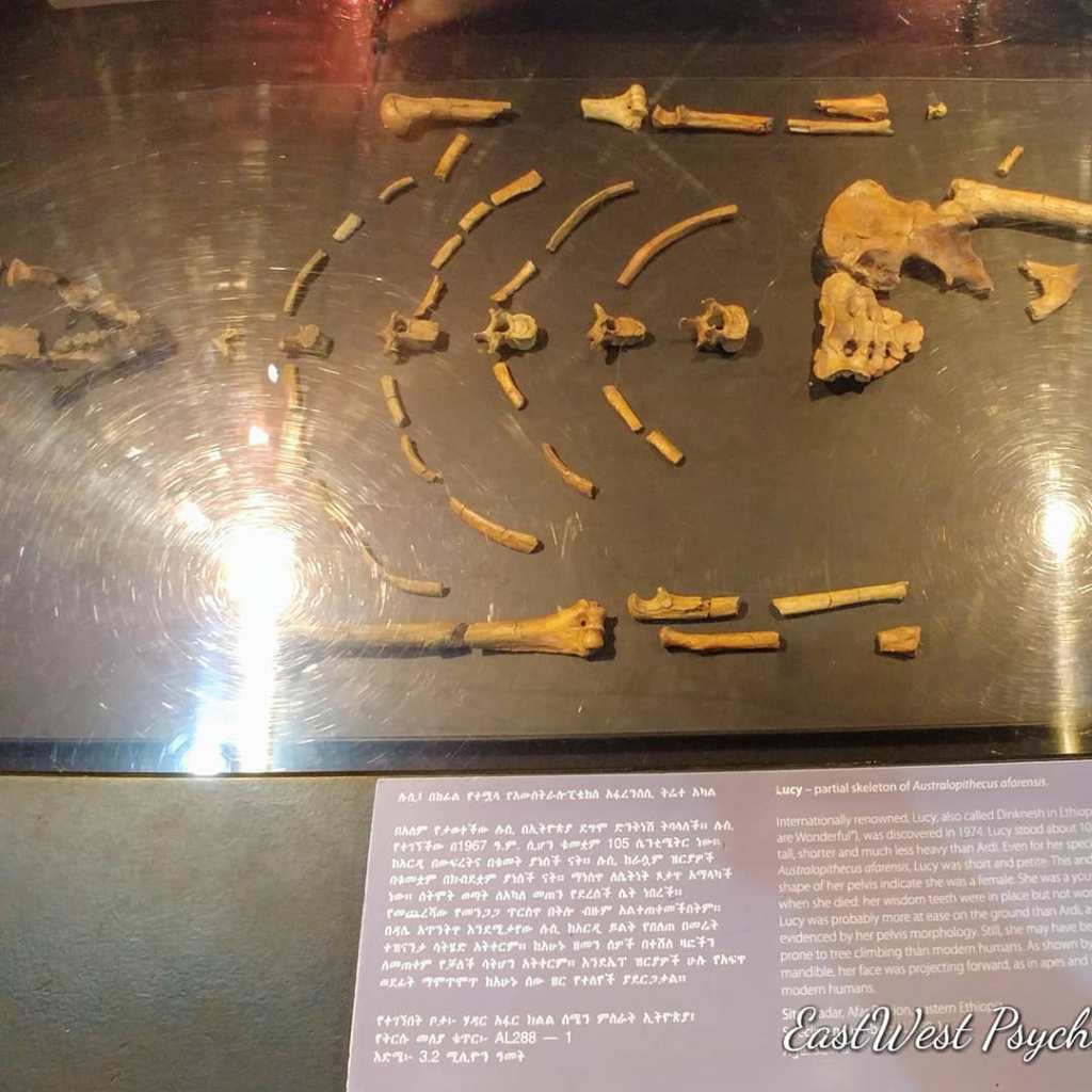 68259535_471923320031871_492922182402310144_o