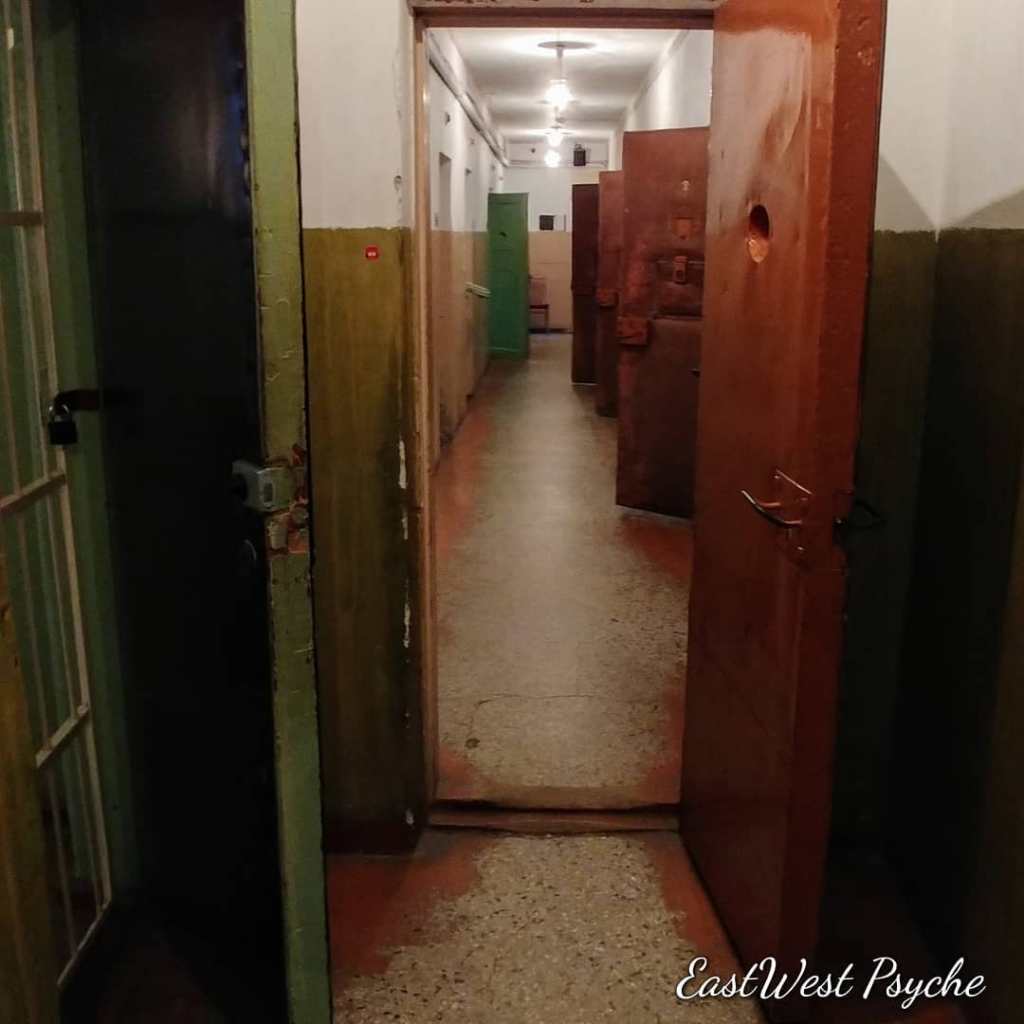 69032065_476815206209349_2432597952364019712_o