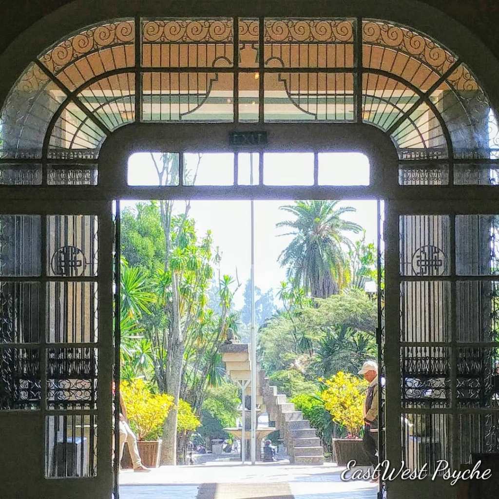 69101294_471938966696973_7734804382868307968_o