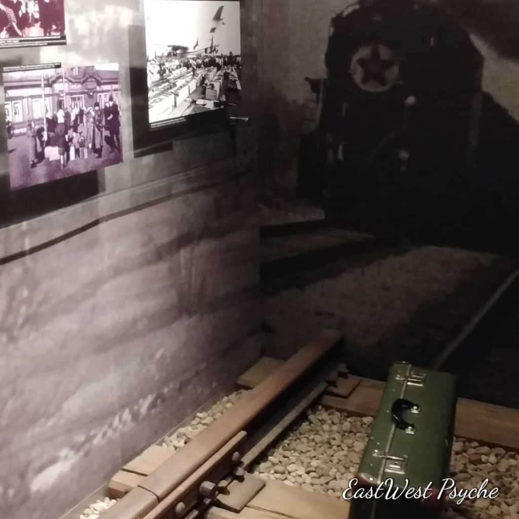 69515719_476820652875471_3463744597119729664_o