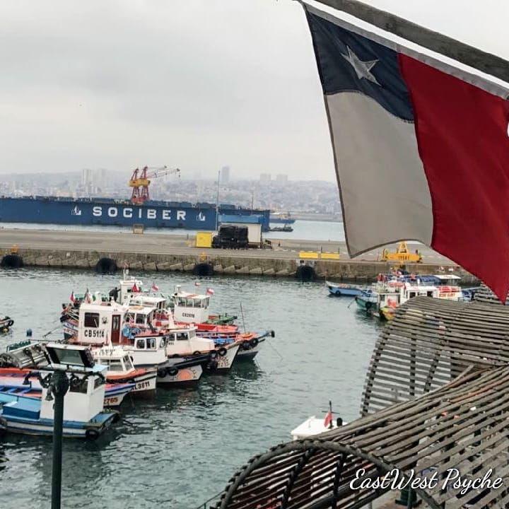 69536529_482664168957786_2035442262078390272_n