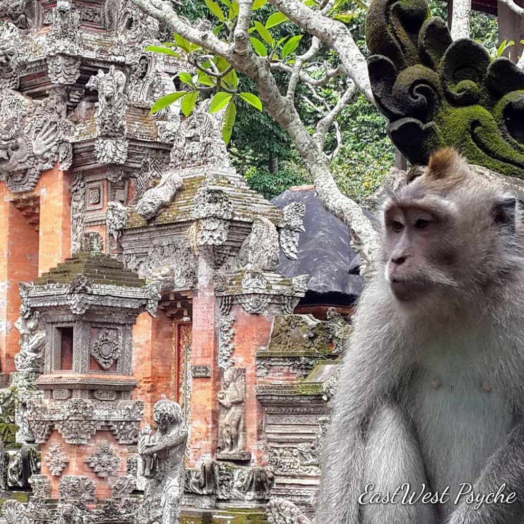 69801205_486239405266929_2492069715971670016_o