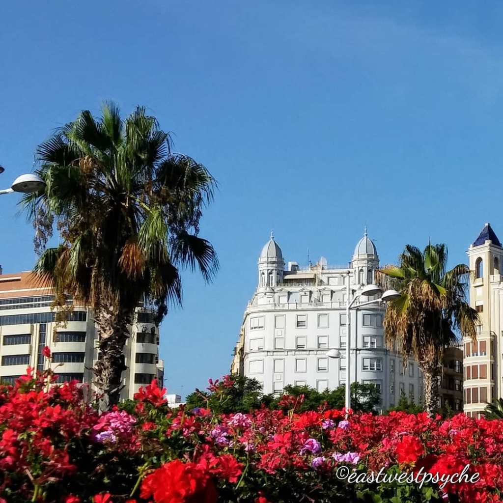 78229804_540367539854115_7904588348499427328_o