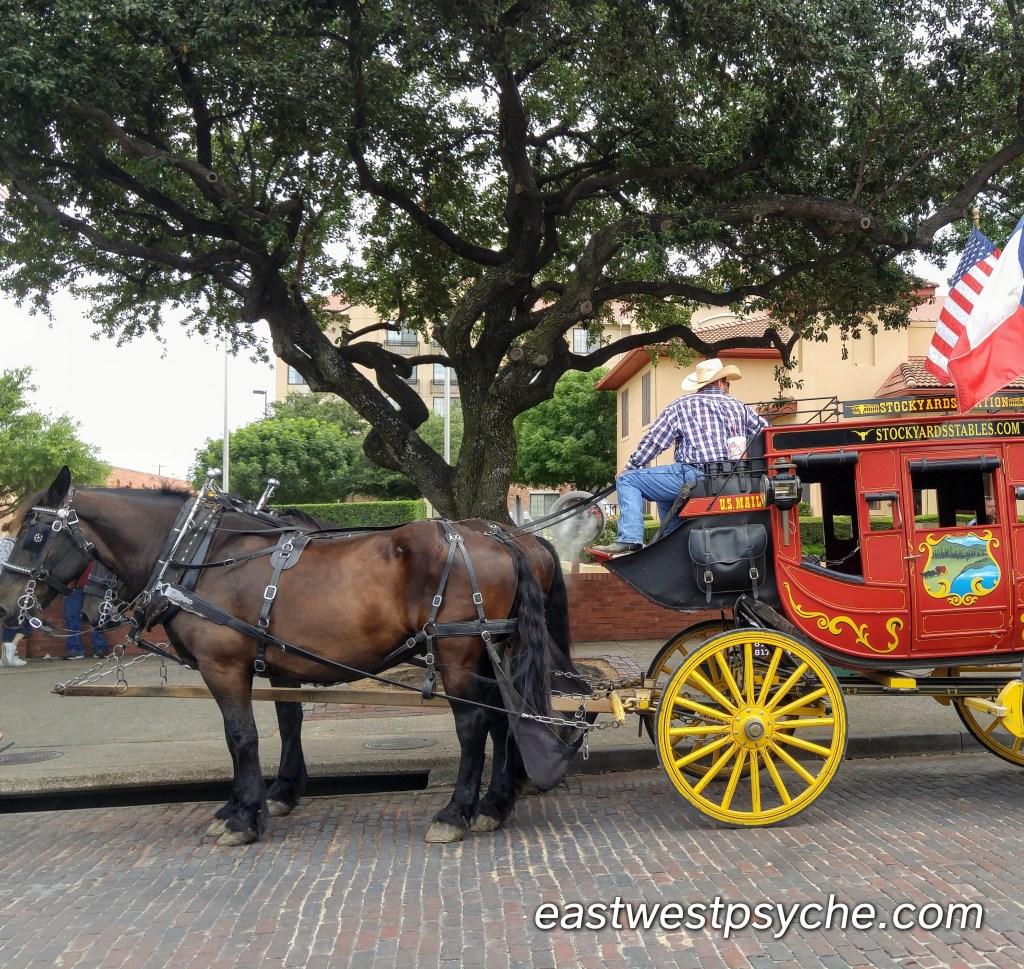 20160625_161901_2_Signature