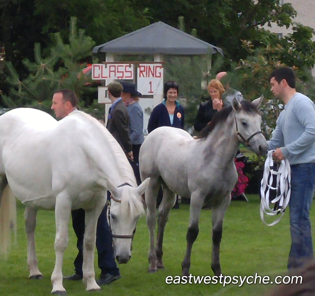 20160818_174906 (2)_2_Signature