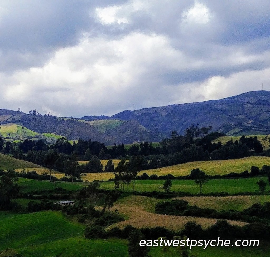 20190305_123655_4_Signature