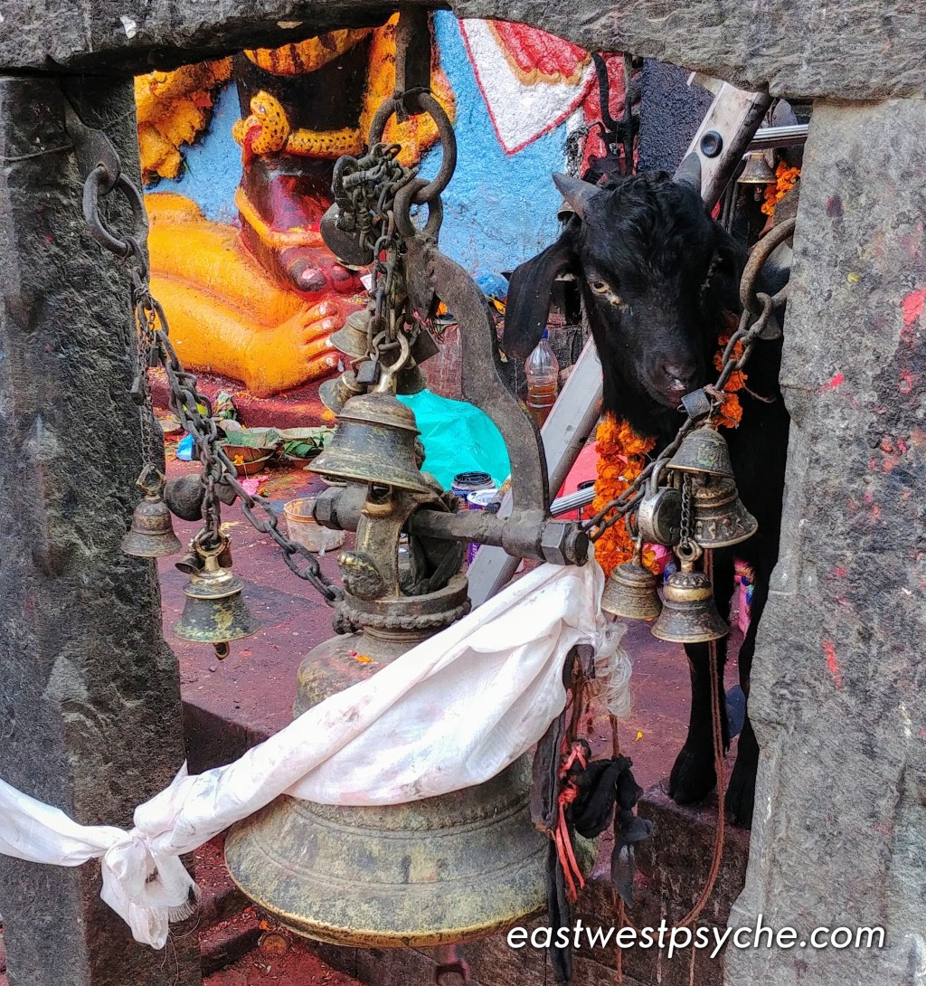 20181016_152858_2_Signature