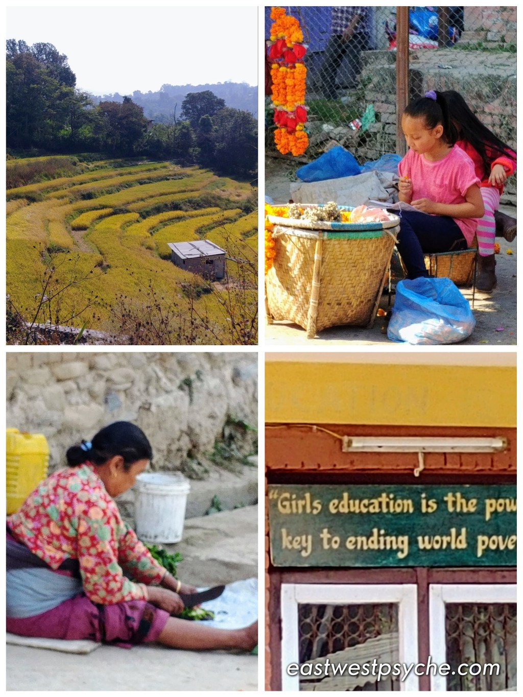 20200310_135334_Signature